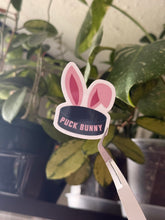 Load image into Gallery viewer, Puck Bunny
